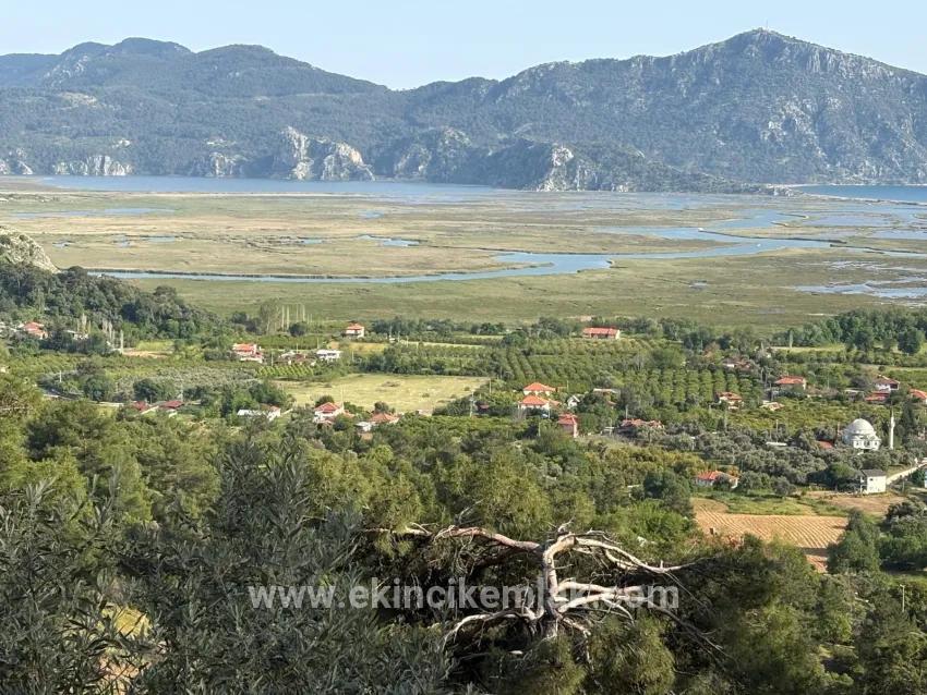 Для продажи Поле в Çandır Köyceğiz - Под Поле застройку - 1.252 m²