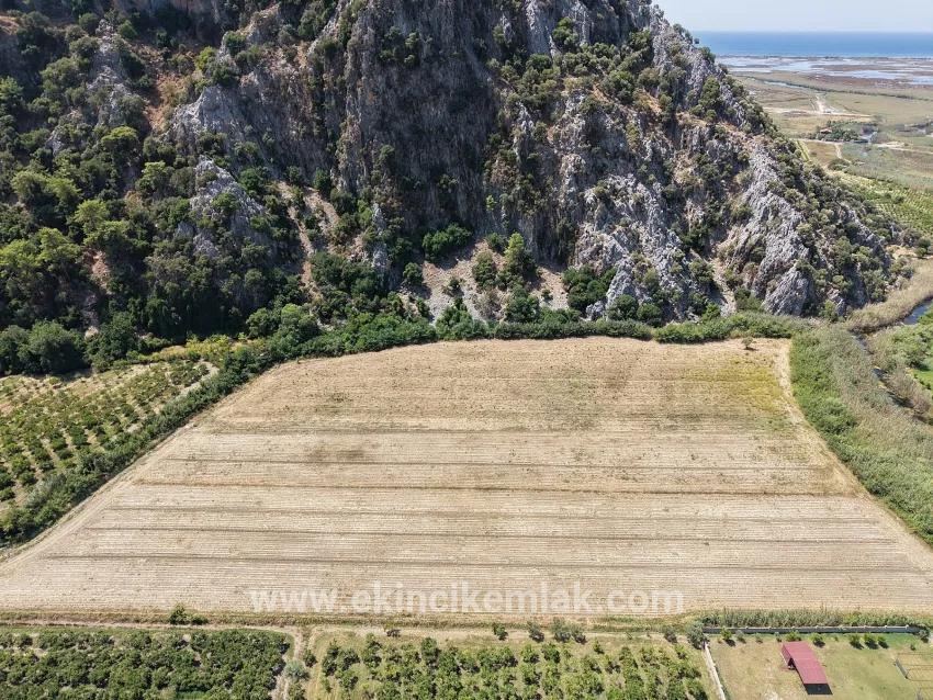 Для продажи Поле в Dalyan Ortaca - Под Поле застройку - 20.786 m²