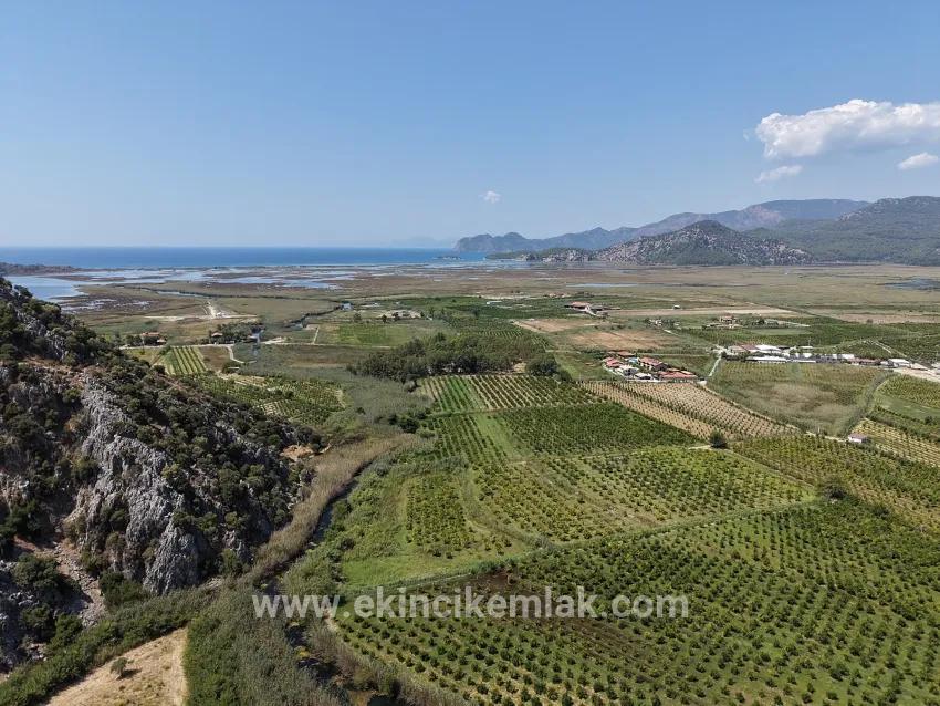 Для продажи Поле в Dalyan Ortaca - Под Поле застройку - 20.786 m²