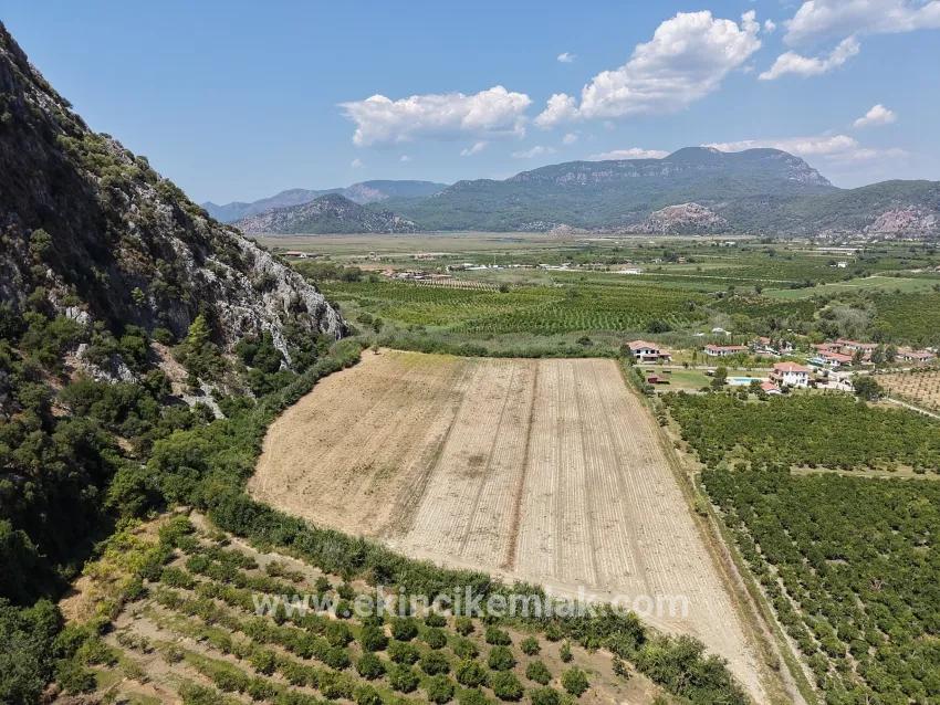 Для продажи Поле в Dalyan Ortaca - Под Поле застройку - 20.786 m²