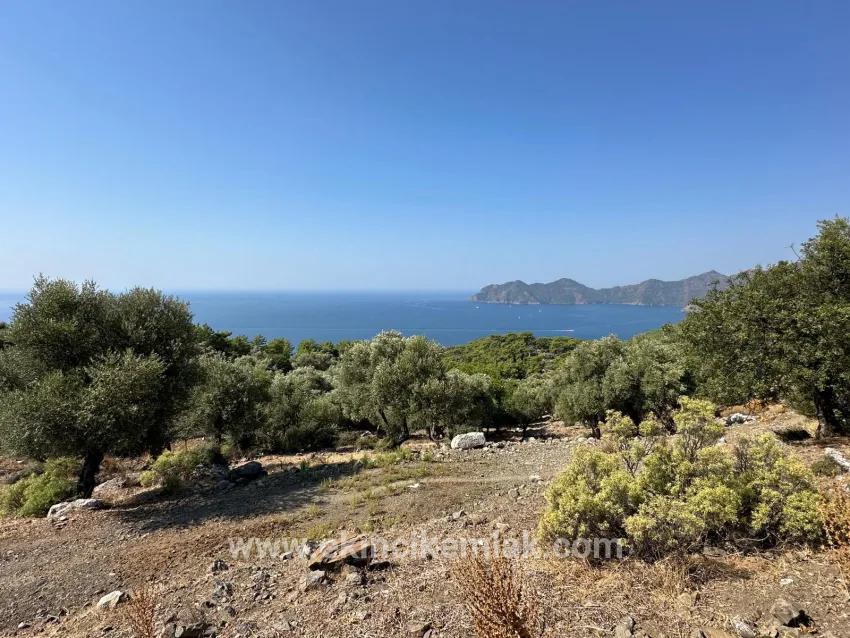 Для продажи Поле в Çandır Köyceğiz - Под Поле застройку - 21.000 m²
