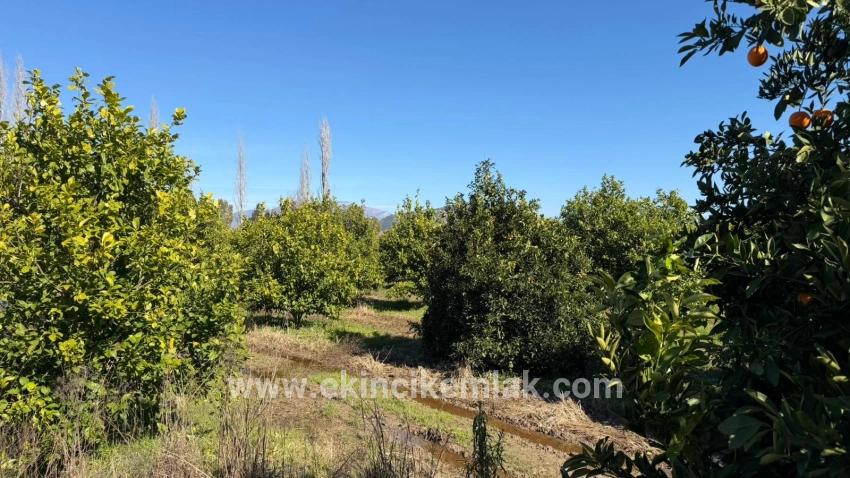 Для продажи Сюжет в Okçular Ortaca - Под Жилье застройку - 2.218 m²