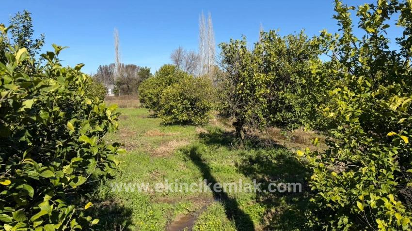Для продажи Сюжет в Okçular Ortaca - Под Жилье застройку - 2.218 m²