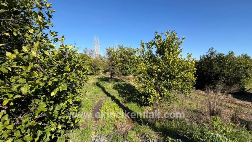 Для продажи Сюжет в Okçular Ortaca - Под Жилье застройку - 2.218 m²