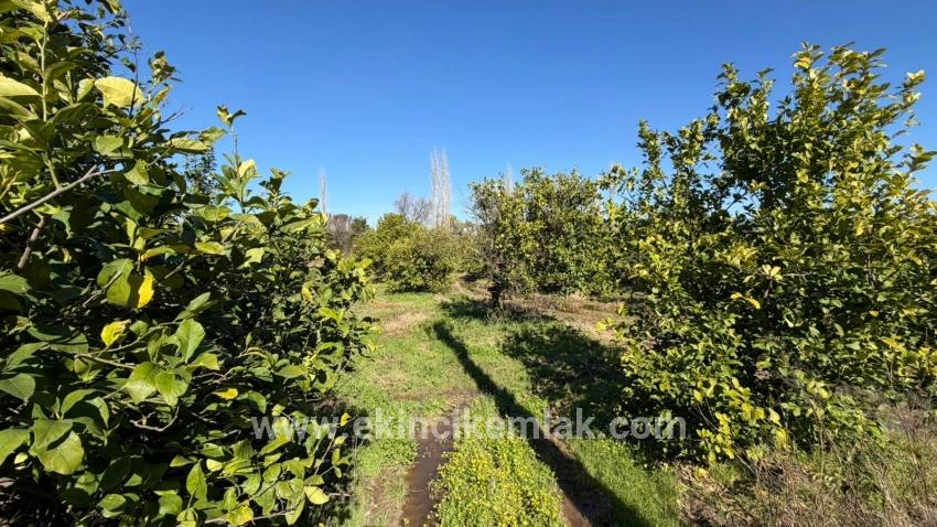 Для продажи Сюжет в Okçular Ortaca - Под Жилье застройку - 2.218 m²