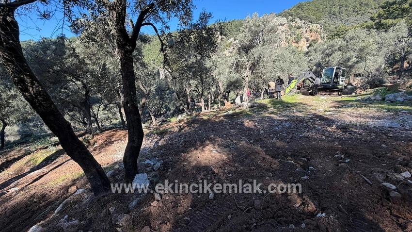 Для продажи Поле в Çandır Köyceğiz - Под Жилье застройку - 5.715 m²