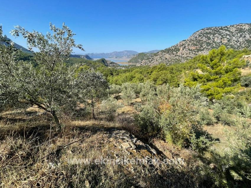 Земля 3514m2 На Продажу С Панорамным Видом На Море В Гёкбеле