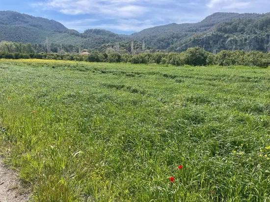 В Окчуларе 736m2 Общая Площадь 250m2 Строительная Разрешение Имеется Продается Земельный Участок