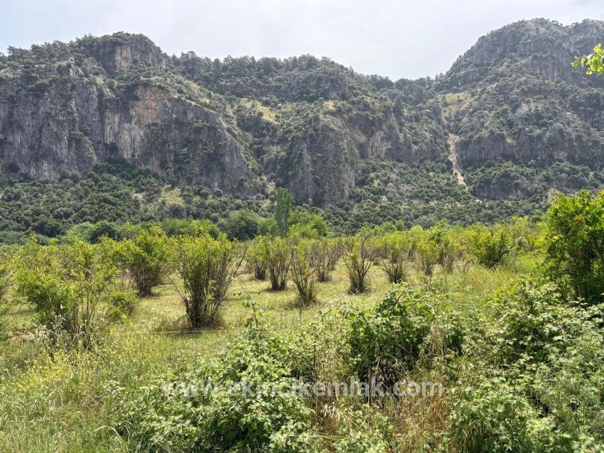 Ortaca Okçular Mah. Satılık Arsa - Konut İmar Durumlu - 2.100 m²
