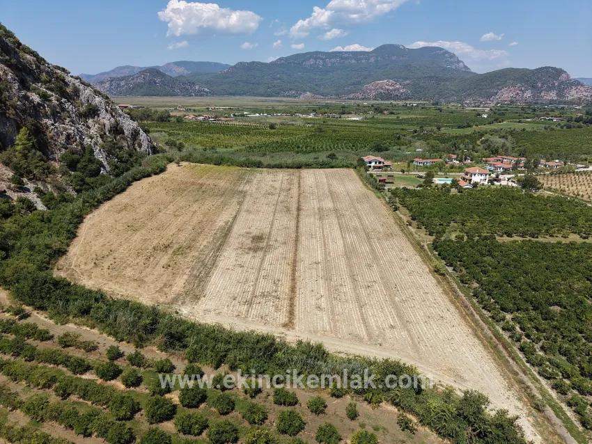 Ortaca Dalyan Mah. Satılık Tarla - Tarla İmar Durumlu - 20.786 m²