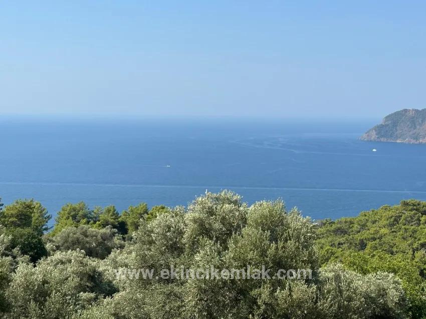 Köyceğiz Çandır Mah. Satılık Tarla - Tarla İmar Durumlu - 21.000 m²