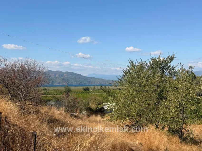 Ortaca Dalyan Mah. Satılık Tarla - Tarla İmar Durumlu - 5.000 m²