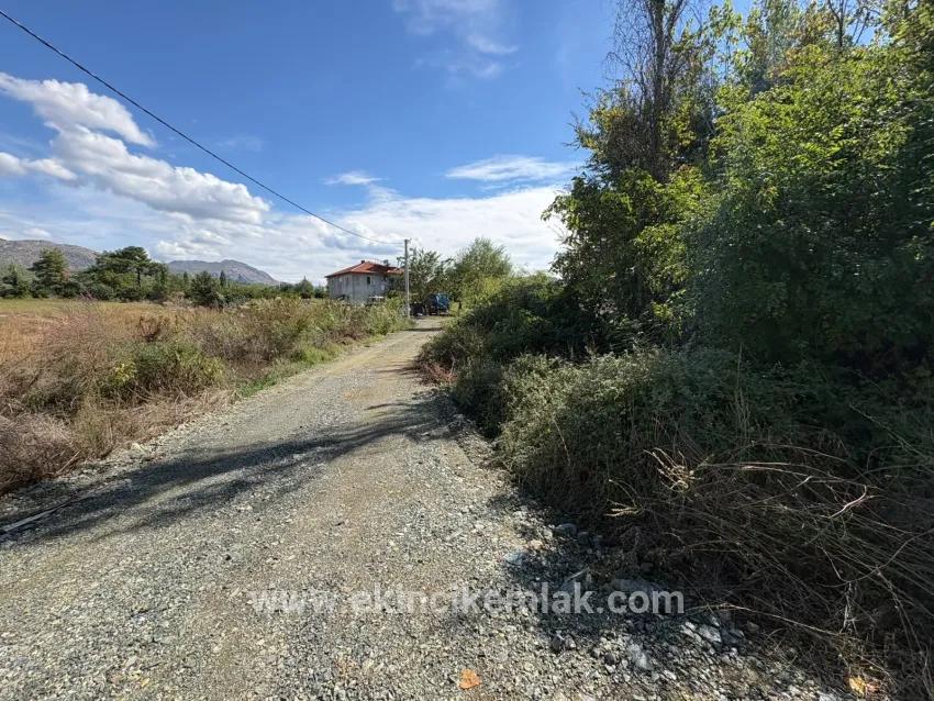 Köyceğiz Zeytinalanı Mah. Satılık Tarla - Tarla İmar Durumlu - 10.500 m²