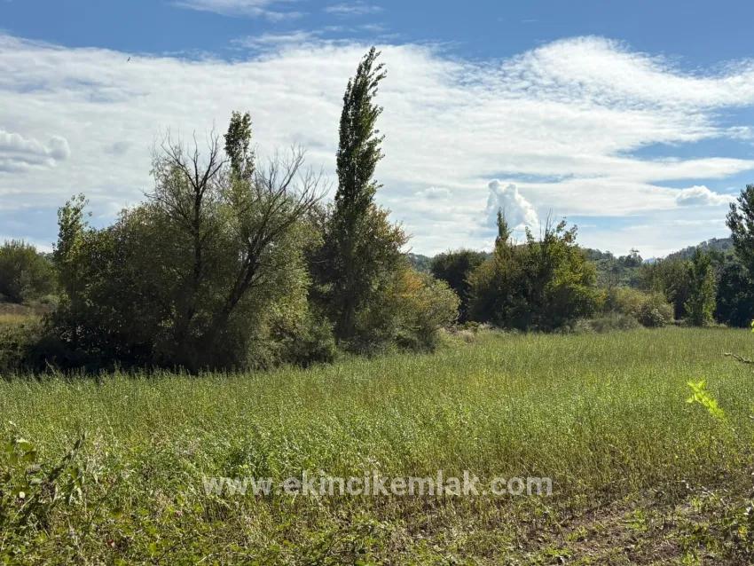 Köyceğiz Zeytinalanı Mah. Satılık Tarla - Tarla İmar Durumlu - 10.500 m²