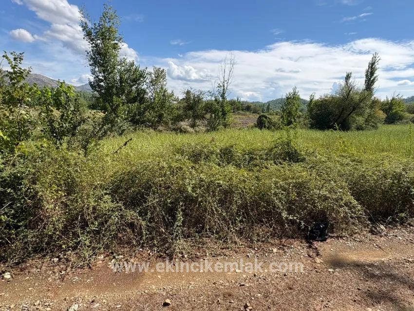 Köyceğiz Zeytinalanı Mah. Satılık Tarla - Tarla İmar Durumlu - 10.500 m²