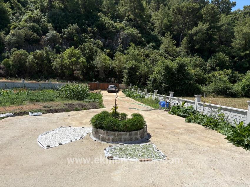 Dalyan Karadağ Mevkiinde 2500m2 Tarla İçerisinde 120m2 Müstakil Ahşap Ev