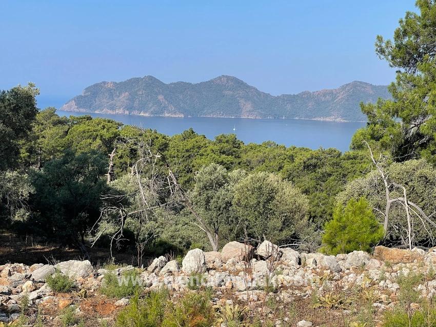 Köyceğiz Çandır Mah. Satılık Tarla - Konut İmar Durumlu - 10.481 m²