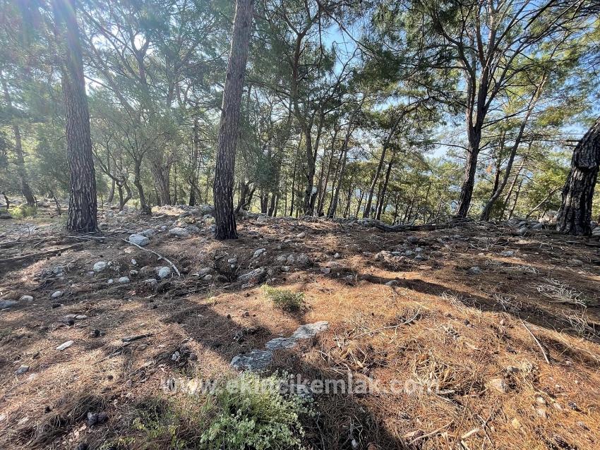 Ekincik Çandır Arasın'da Deniz Manzaralı Kelepir Emlak Satılık Arsa