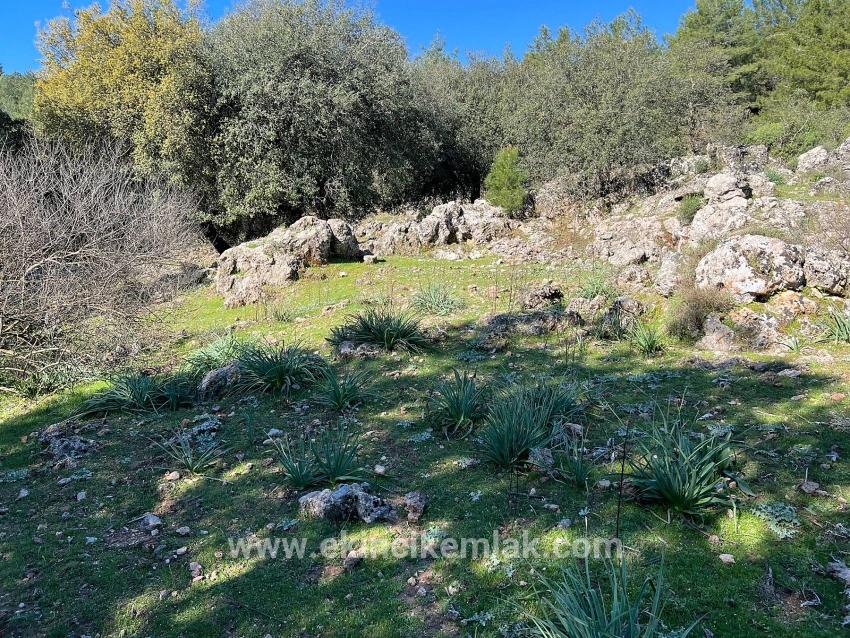 Ortaca Gökbel Mah. Satılık Tarla - Tarla İmar Durumlu - 24.163 m²