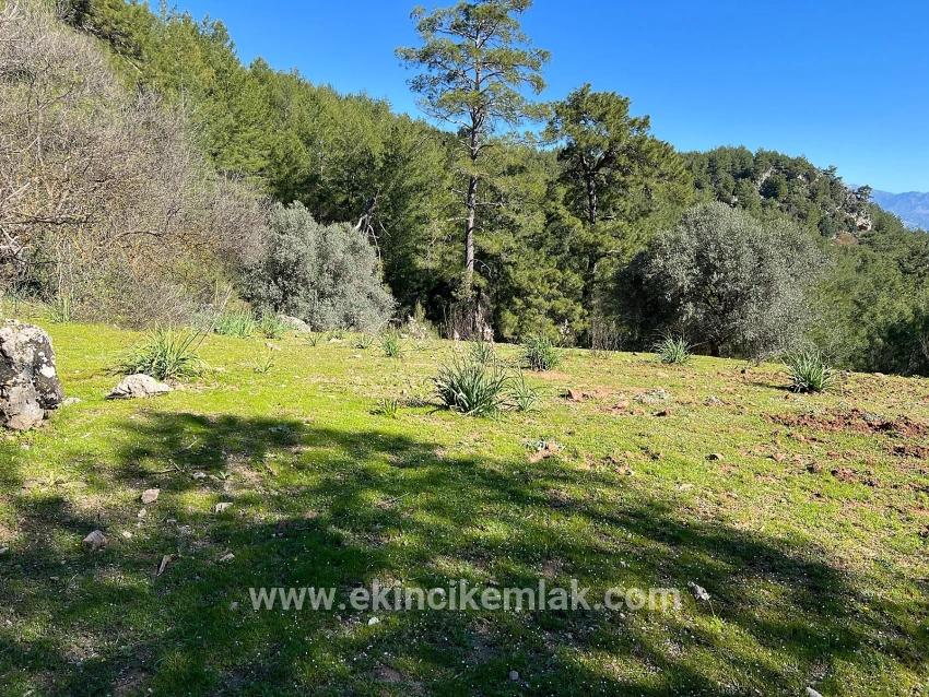 Ortaca Gökbel Mah. Satılık Tarla - Tarla İmar Durumlu - 24.163 m²