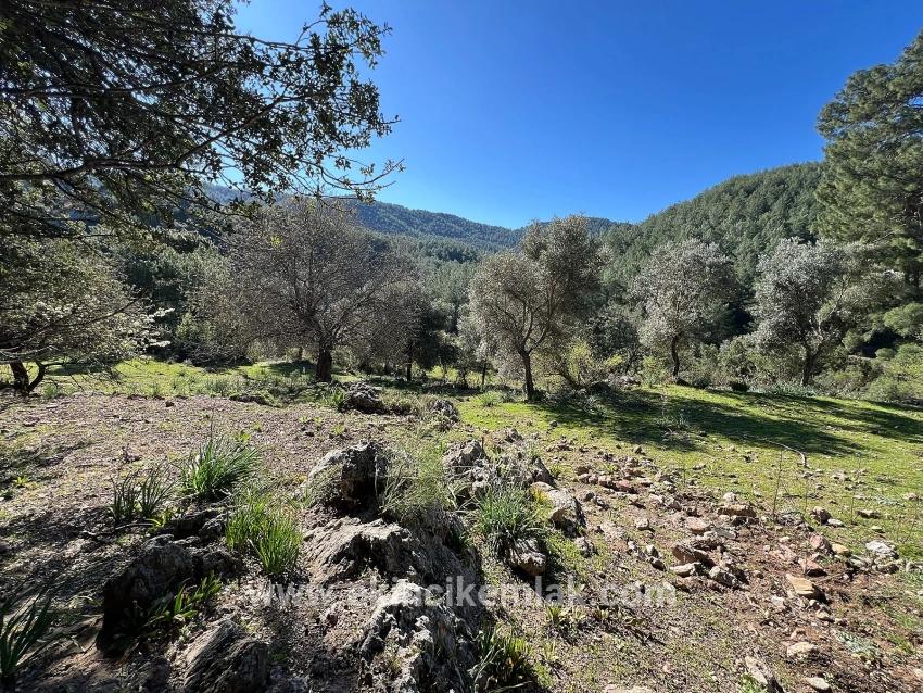 Ortaca Gökbel Mah. Satılık Tarla - Tarla İmar Durumlu - 24.163 m²