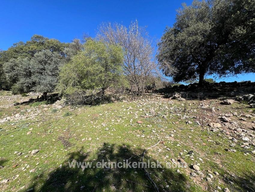 Ortaca Gökbel Mah. Satılık Tarla - Tarla İmar Durumlu - 24.163 m²