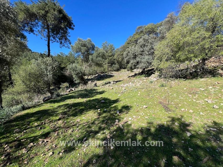 Ortaca Gökbel Mah. Satılık Tarla - Tarla İmar Durumlu - 24.163 m²