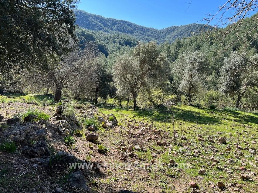 Ortaca Gökbel Mah. Satılık Tarla - Tarla İmar Durumlu - 24.163 m²