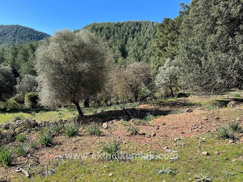 Ortaca Gökbel Mah. Satılık Tarla - Tarla İmar Durumlu - 24.163 m²