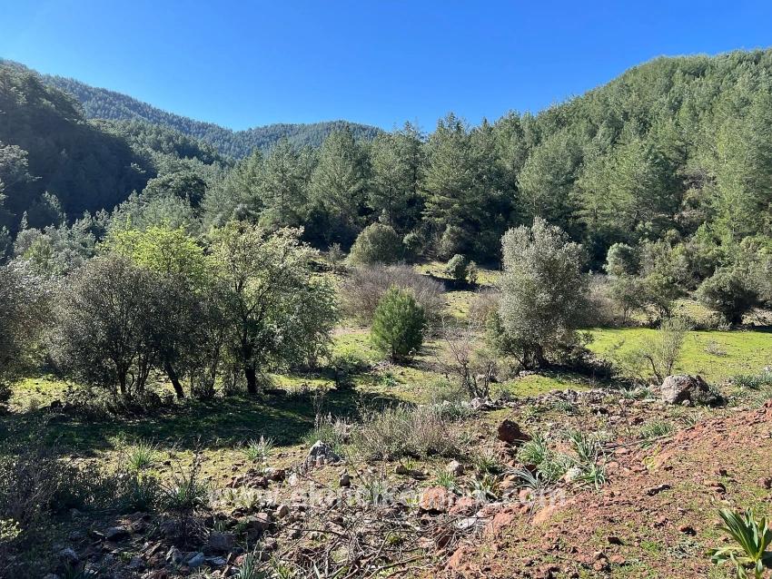 Ortaca Gökbel Mah. Satılık Tarla - Tarla İmar Durumlu - 24.163 m²