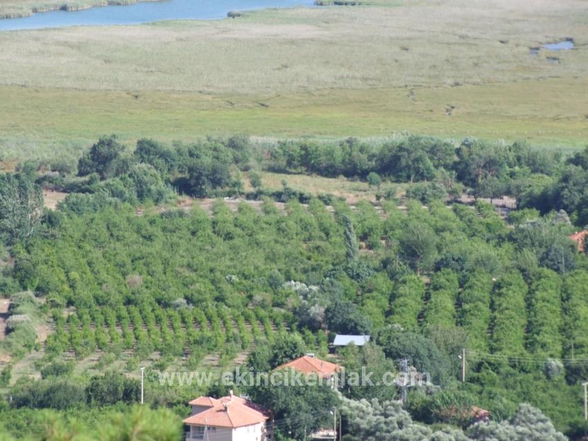 Köyceğiz Çandır'da 19.334m2 Satılık Tarla