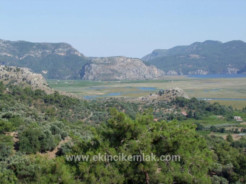 Köyceğiz Çandır'da 19.334m2 Satılık Tarla