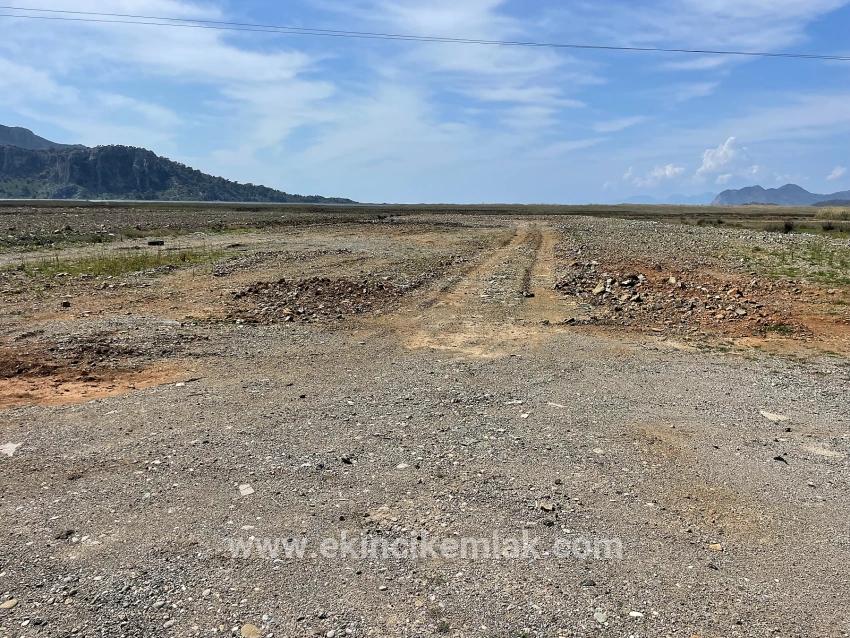 Dalyan İztuzu Plaj Yoluna Sıfır 19.600m2 Satılık Tarla