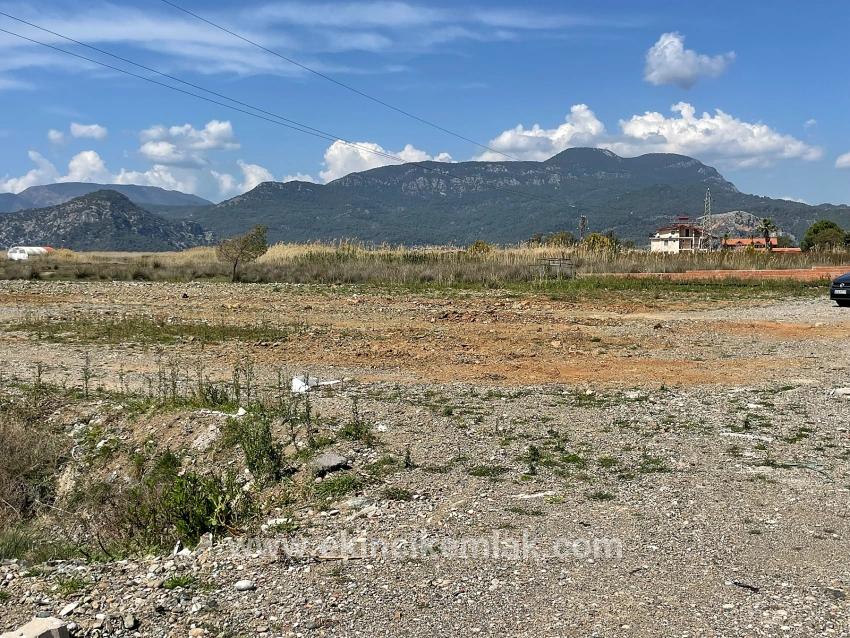 Dalyan İztuzu Plaj Yoluna Sıfır 19.600m2 Satılık Tarla