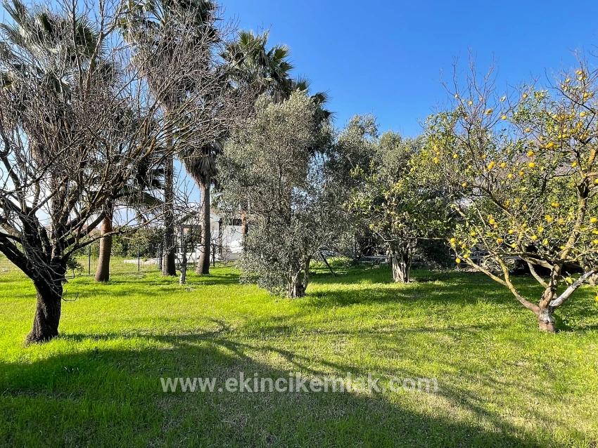 Ortaca Eskiköy Mah. Satılık 4+2 Müstakil ev - 2.882 m²