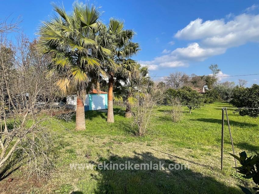 Ortaca Eskiköy Mah. Satılık 4+2 Müstakil ev - 2.882 m²