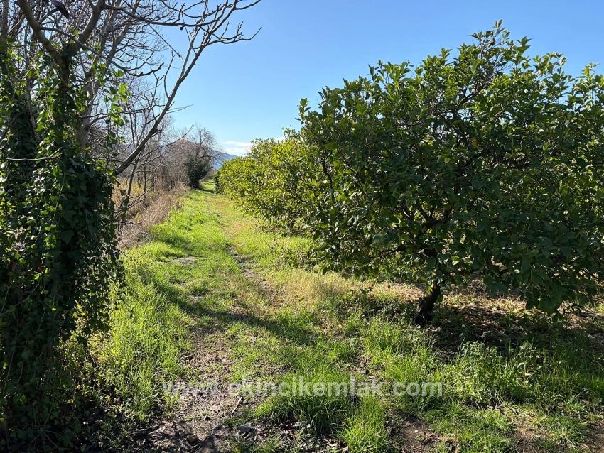Ortaca Dalyan Mah. Satılık Tarla - Tarla İmar Durumlu - 16.500 m²