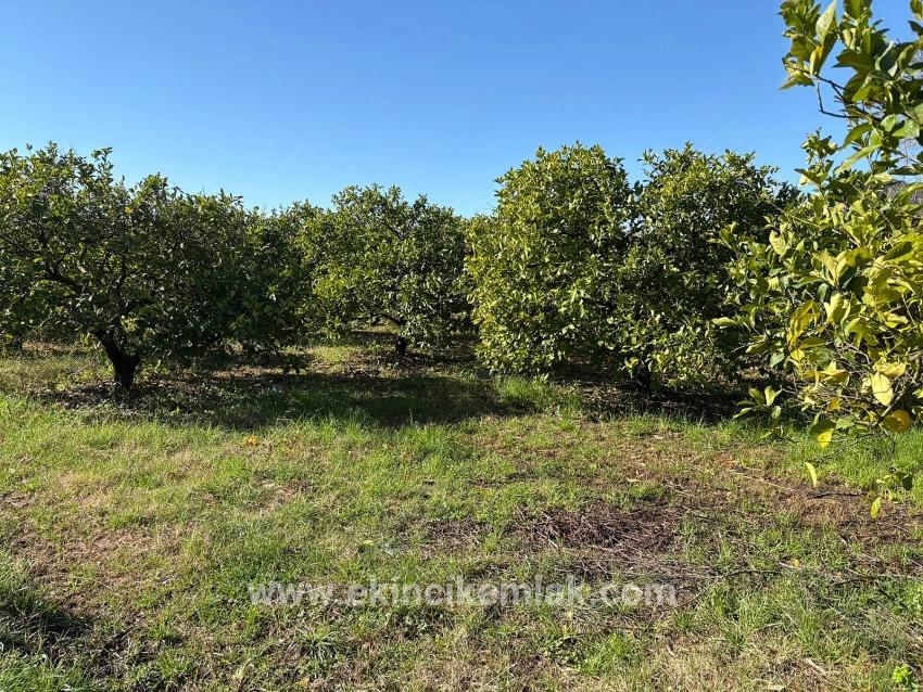 Ortaca Dalyan Mah. Satılık Tarla - Tarla İmar Durumlu - 16.500 m²
