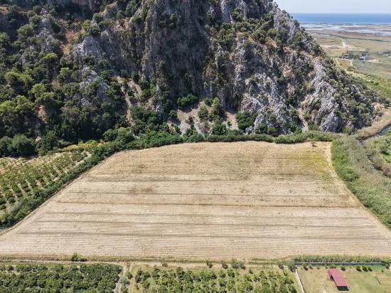 Dalyan'da 20.786m2 satılık tarla