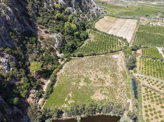 Dalyan'da 20.786m2 satılık tarla