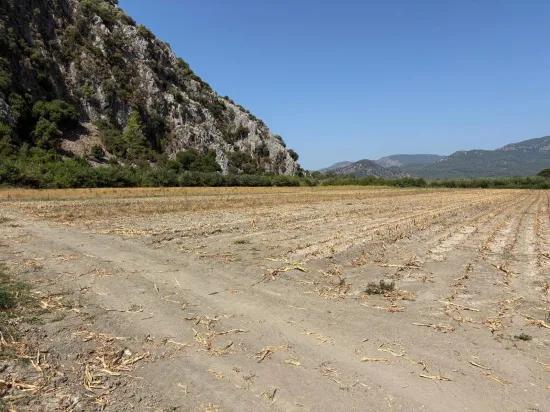 Dalyan'da 20.786m2 satılık tarla
