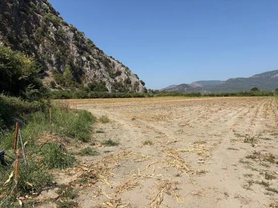 Dalyan'da 20.786m2 satılık tarla