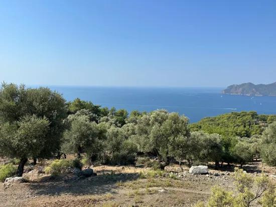 Çandır'da deniz manzaralı 21.000 m2 satılık 2b tarla