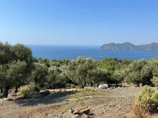 Çandır'da deniz manzaralı 21.000 m2 satılık 2b tarla