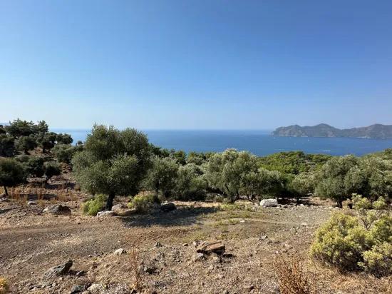 Çandır'da deniz manzaralı 21.000 m2 satılık 2b tarla