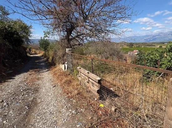Dalyan Karadağ'da göl manzaralı 5.000m2 satılık tarla