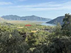 Köyceğiz Çandır Mah. Satılık Tarla - Tarla İmar Durumlu - 1.252 m²