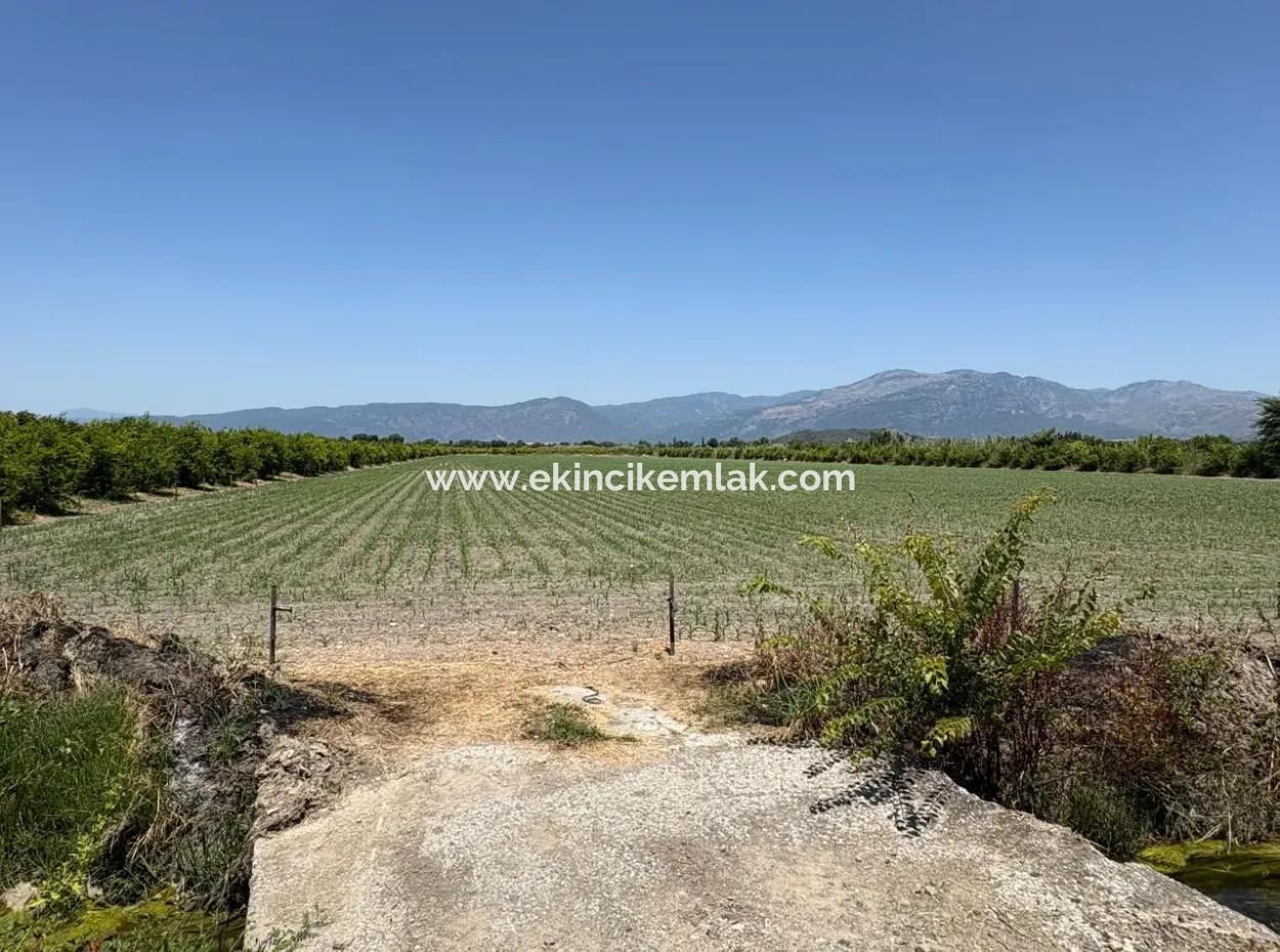 Tepearası'nda 46,550M2 Satılık Tarla