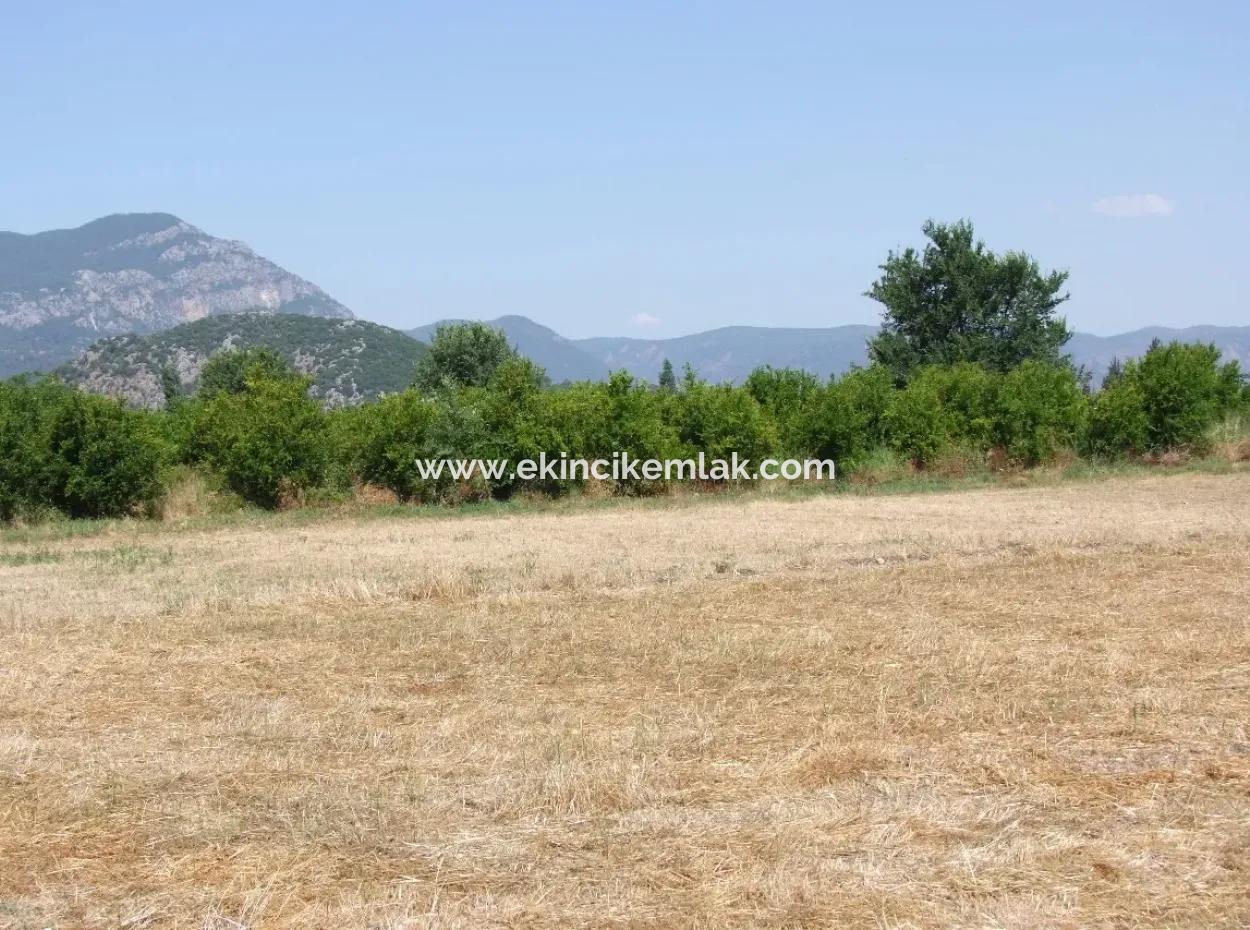 Okcular’da 540M2 Köşebaşinda Satilik Arsa