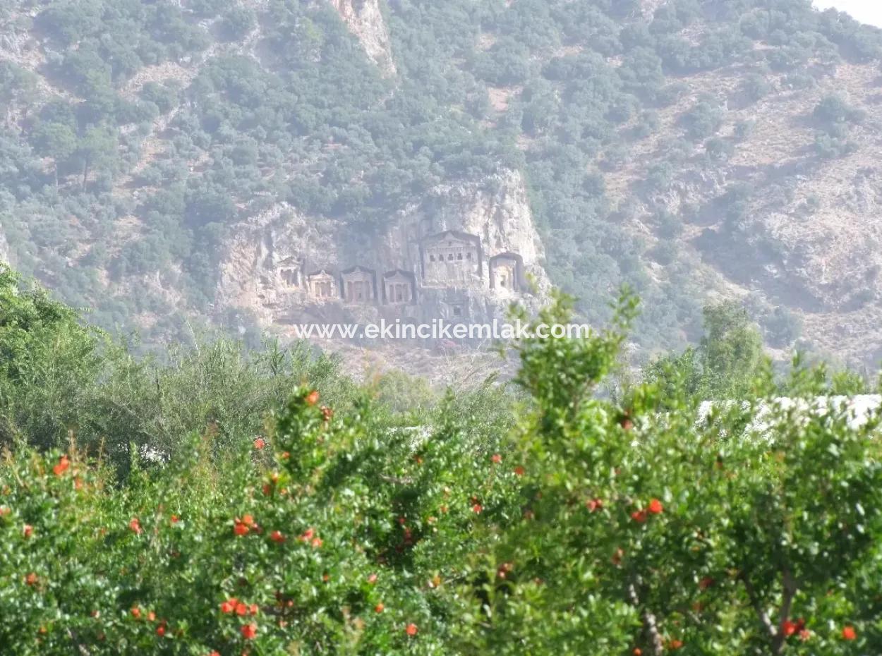 Dalyan İztuzu Satılık Bahçe Dalyan Göle Sıfır Satılık Arsa